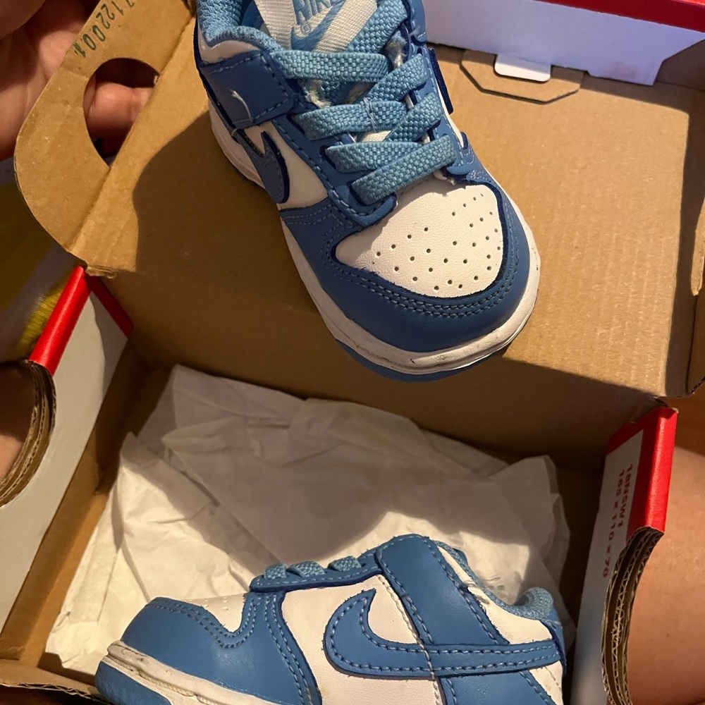 Nike dunk low (TDE)
